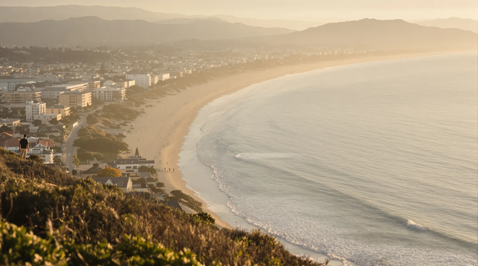 The South Bay coastline and a curving beach seen from a hillside at golden hour