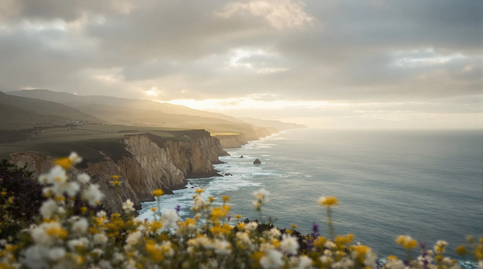 Coastal bluffs of the Palos Verdes Peninsula with wildflowers at golden hour